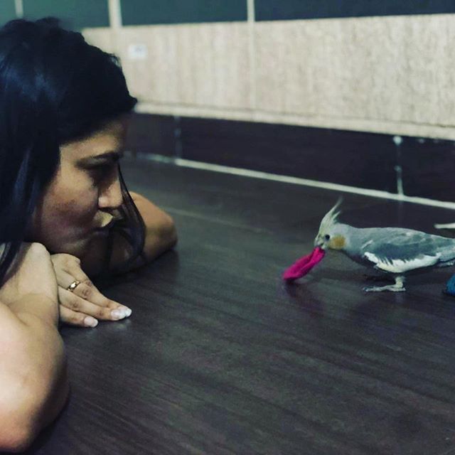 Sherry Sheerin with her pet bird