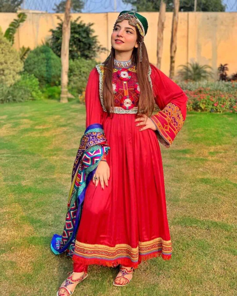 Dananeer Mobeen (Pawri) Wiki, Age, Height, Boyfriend, Family, Biography & More