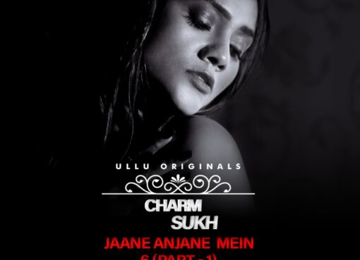 Charmsukh Jane Anjane Mein 6